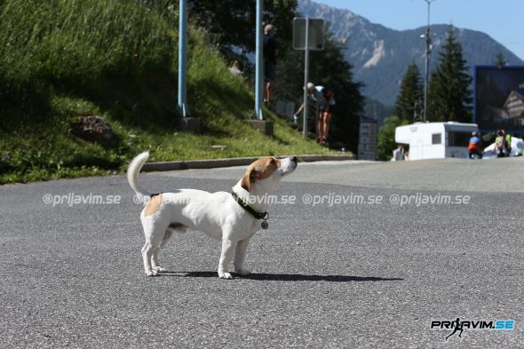 Maraton-Alpe-2022-0049.jpg