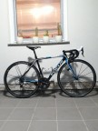 Focus izalco Team SL 